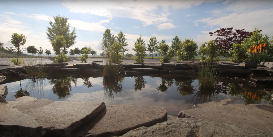 AIDS Memorial Garden pond