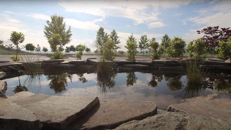AIDS Memorial Garden pond